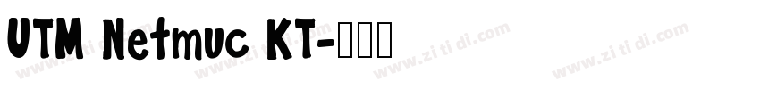 UTM Netmuc KT字体转换